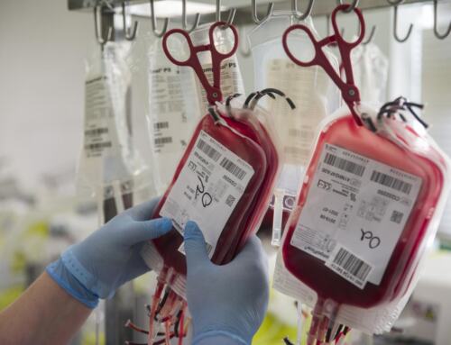 Llamamiento urgente para donar sangre en la provincia de Sevilla: “alarmante descenso de las reservas tras la celebración de la feria”