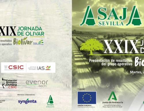 ASAJA-Sevilla celebra hoy martes su XXIX Jornada de Olivar en Estepa